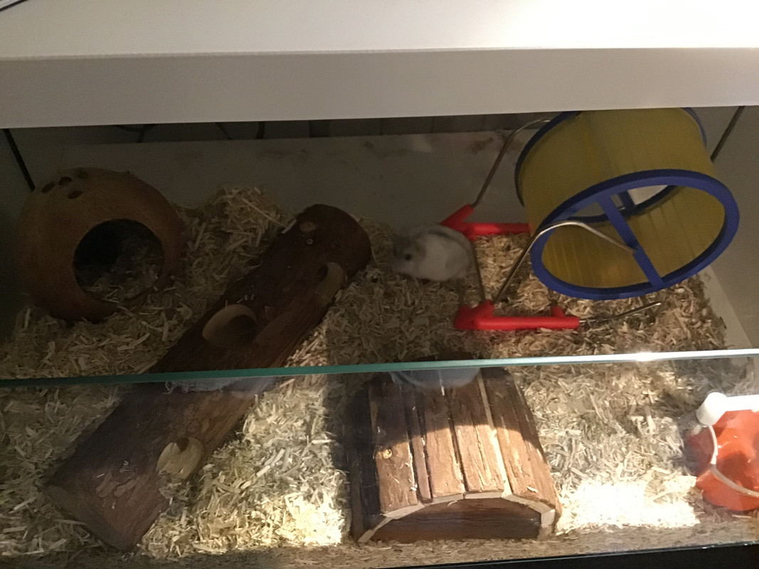 3BCE5FC2-8889-43D5-8826-525A13D33206