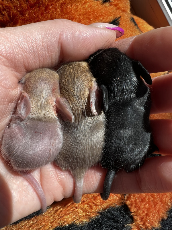 7A2A2742-6BA6-42DC-B962-D8E32175E98F