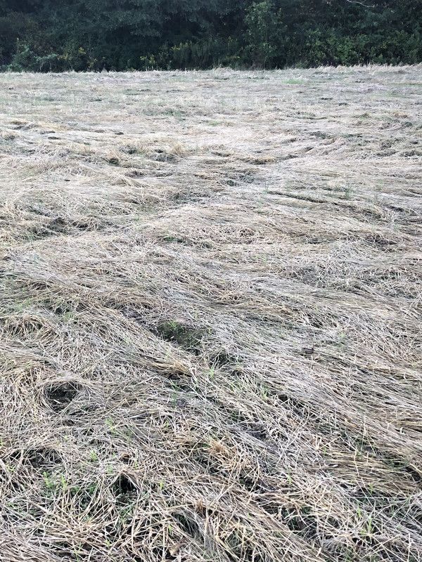 17FCB07D-321D-4888-8269-4C2C9A2418A6