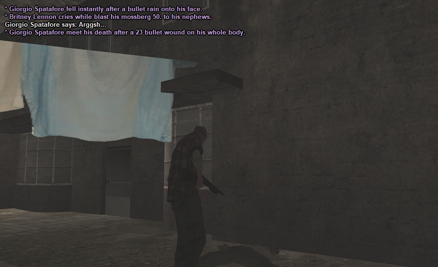 ss13.png