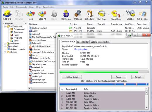 Internet Download Manager 6 41 Build 7 Multilingual Retail