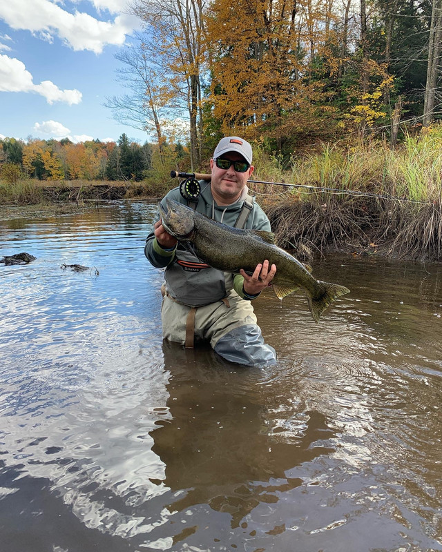 0FB7AE1B-7B2F-4669-BD82-23C1F5ACA9B1