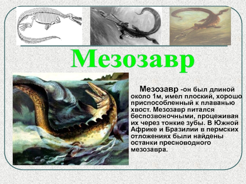 9a1ef8091a8650293fe84c0e8157323d-800x