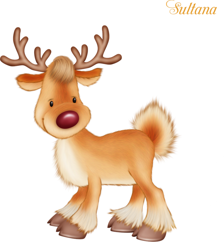 Christmas in Forest7