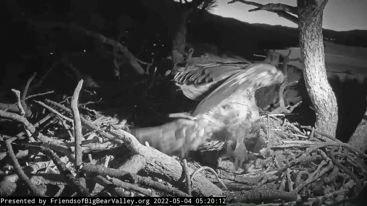 Webp.net-gifmaker (5)