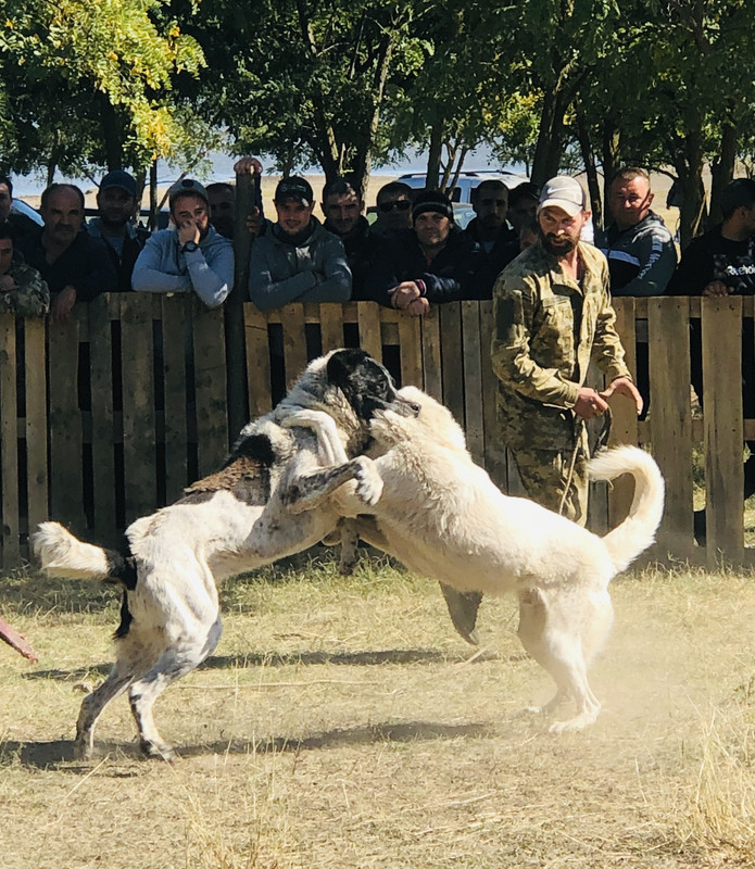 00110608-9D96-4634-B6DE-E5575B3C5999