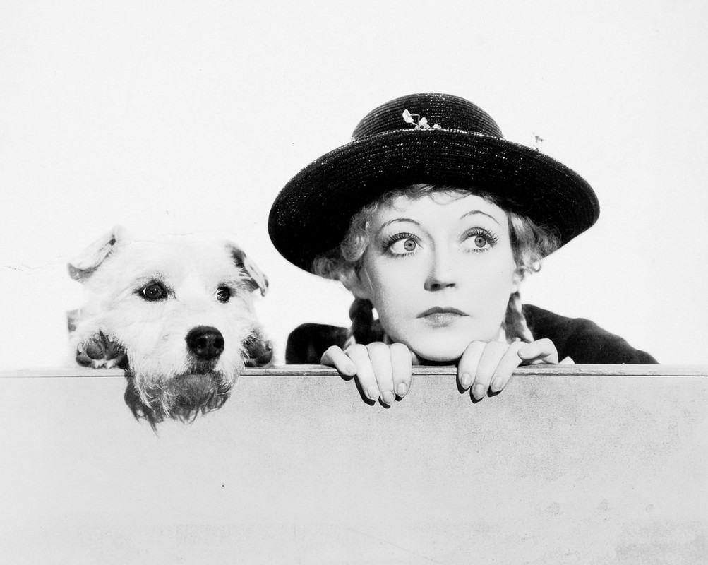 12142312055_b43e4a99cf_b