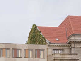 detail.jpg