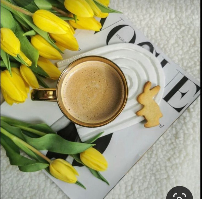 Screenshot_20230415_234519_Pinterest