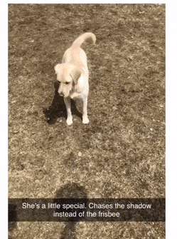 daily-gifdump-3359-26.gif