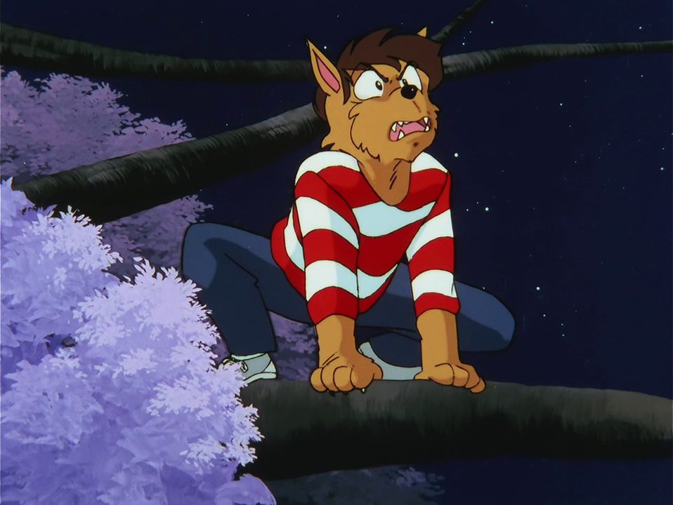 vlcsnap-2024-08-23-13h04m15s157