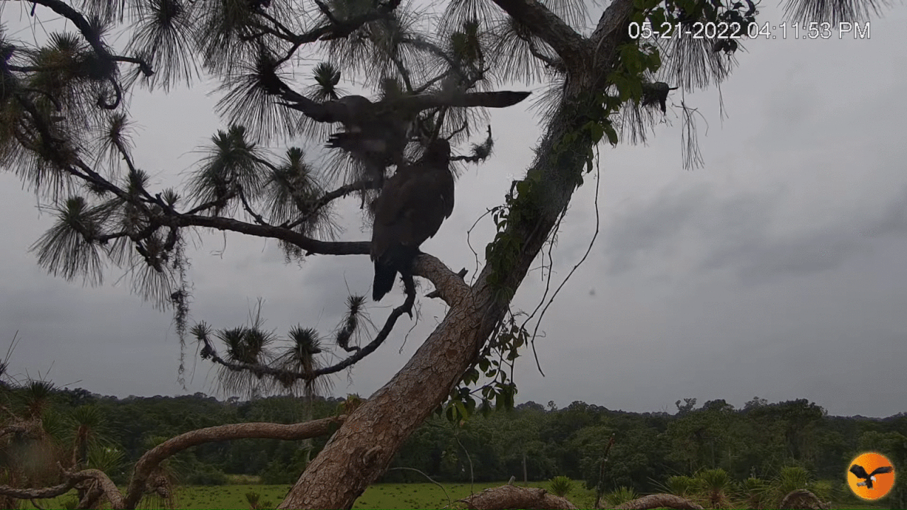 Webp.net-gifmaker (10)