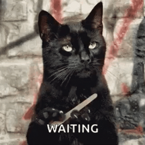 waiting-cat-nail-file-fuyageziynzjynxt.gif