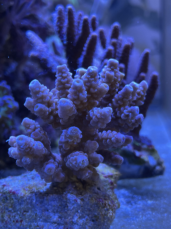 9CC7C180-C0F6-4747-8BC6-A37205E4E093