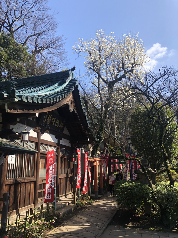 D148DE51-F9D3-4EB1-BCE0-F1A0A90FDF85