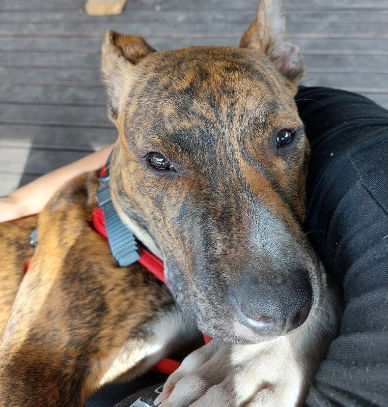 41880AC9-12DF-400D-ACB4-EBC857D2166A