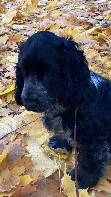 IMG-c18731e5c742828519a375f46e96d6e9-V