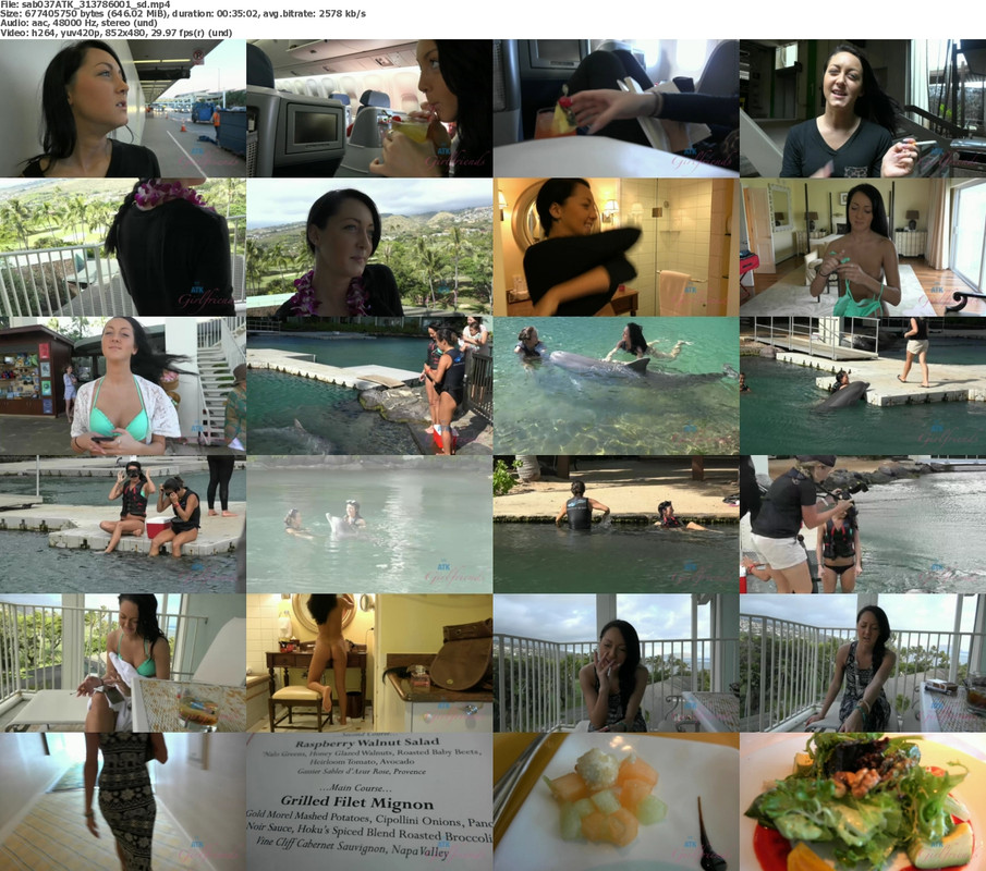 14112024233845screenshot