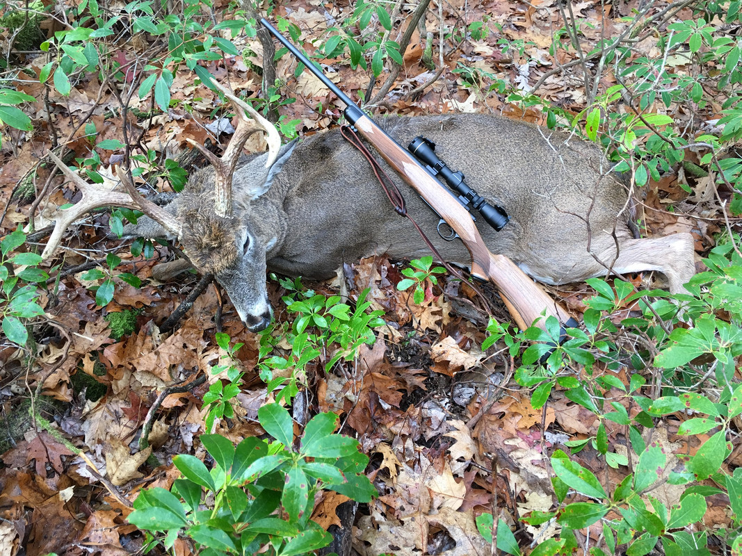 2B509CF7-F8FF-4718-98B0-367E50E0158A