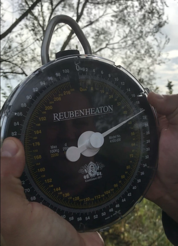 55A13286-BEDE-4F78-B6E2-C3875F6FD41C