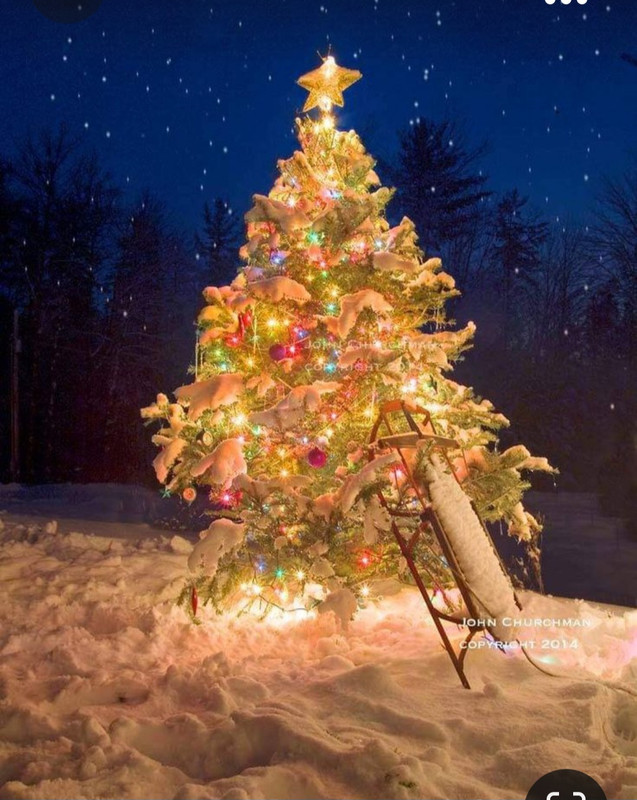 Screenshot_20231027_002245_Pinterest