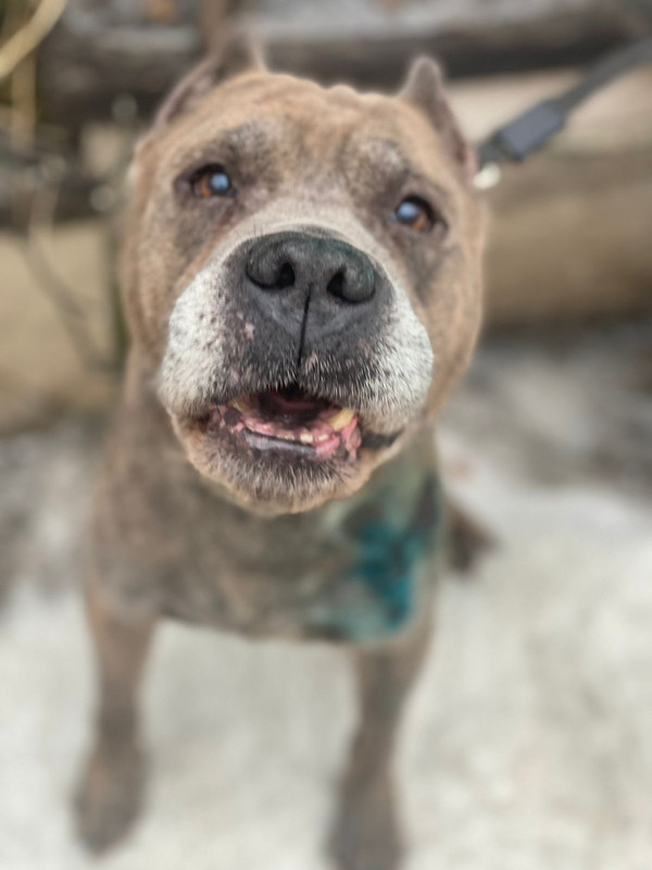 7DCD3AD6-8DE1-4430-BD13-6143F4CA48FB