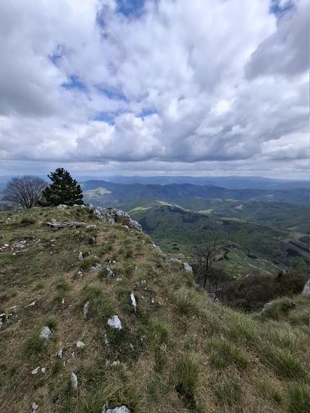 Slika