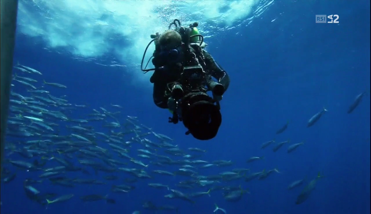 vlcsnap-2016-12-25-18h25m55s366