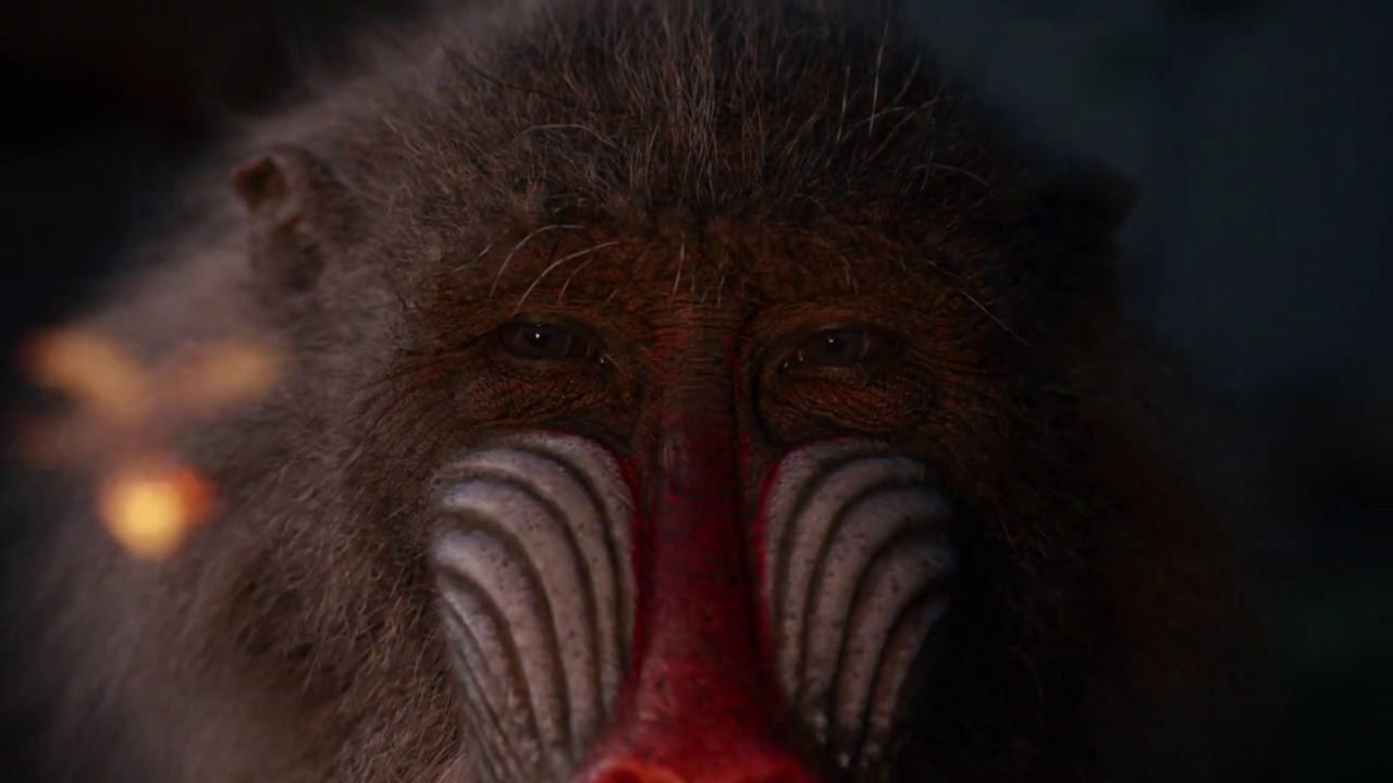 300mbunited.me--00004