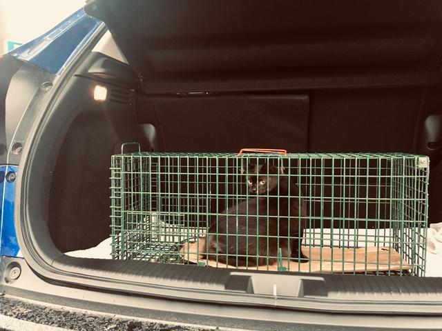 07-FD23-BD-F211-4-ADB-A518-6559-B0-B75-B