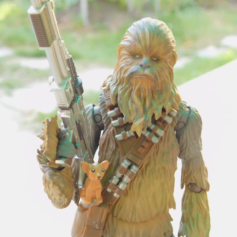 Дачно-Харлинский июнь-июль 2024 185