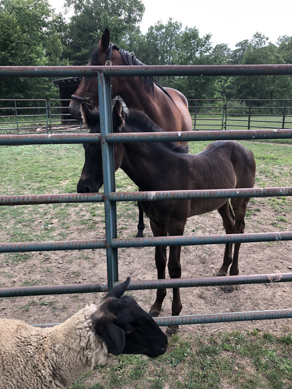 7688E541-D5FD-423A-9DE4-A216A3ACF0AB