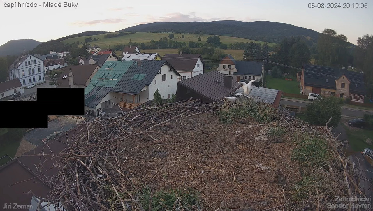 Tiešraides kamera — Mladé Buky — stārķa ligzda 12-33-49 screenshot
