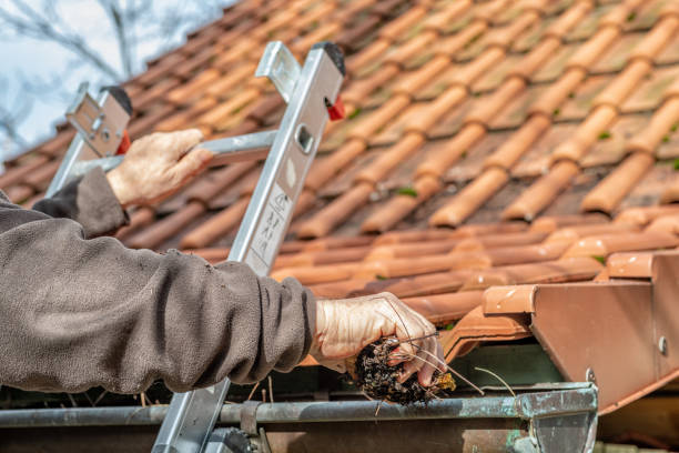 Gutter Flow Clear