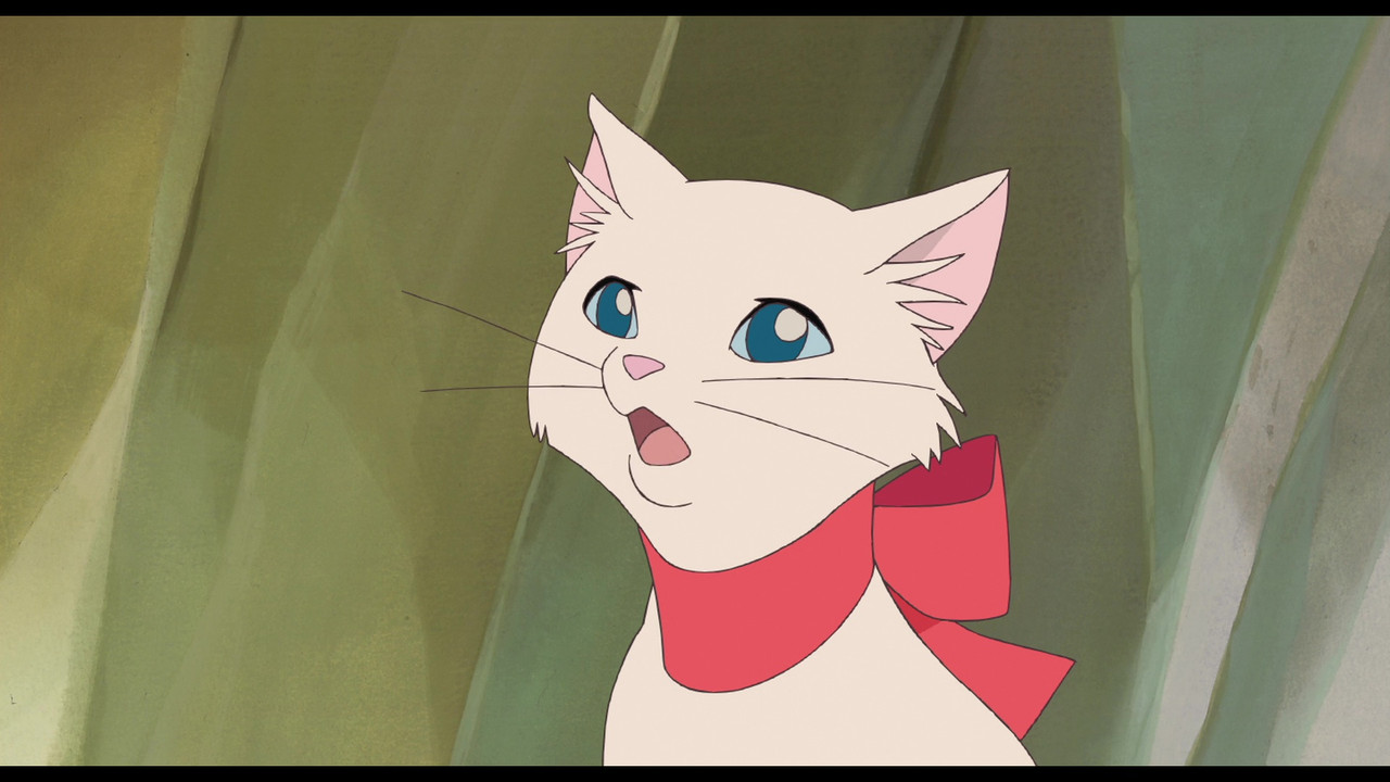 vlcsnap-2025-01-25-16h29m01s323