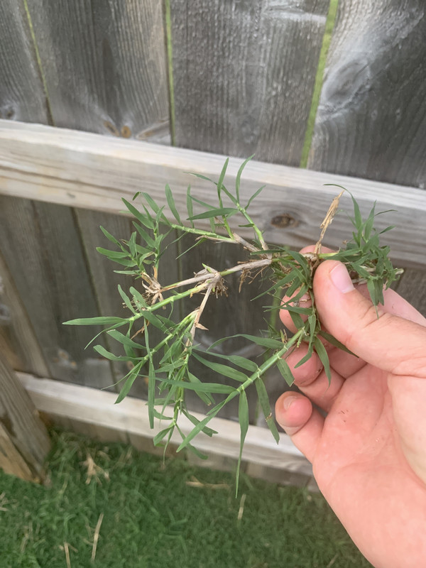 743FB1A2-38FA-48AC-906E-44BE725DF2CC