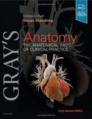 Gray's Anatomy: The Anatomical Basis of Clinical Practice, 42nd Edition