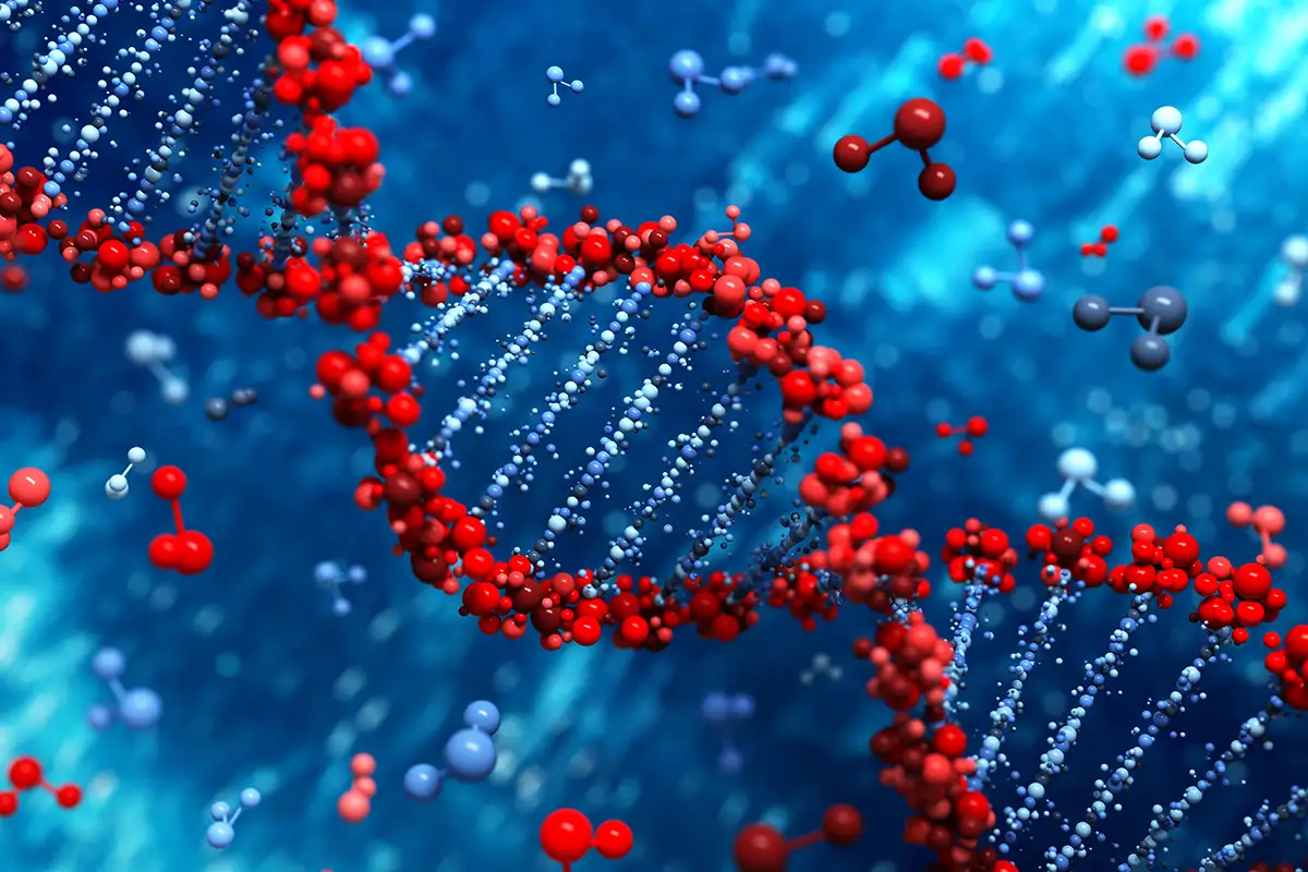 Biochemistry Study Guideline