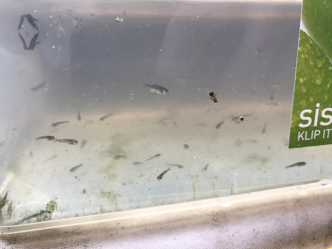 675236B5-FD4A-44D2-87D0-DFCB2AB8E5F9