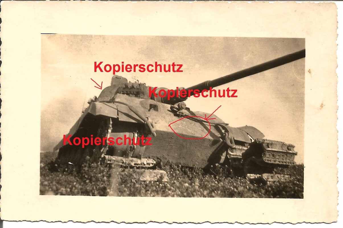 Tiger Panzer Abteilung 501 mit Königstiger in Polen Ostrowiec 19