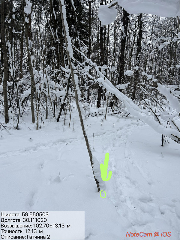 IMG 7190