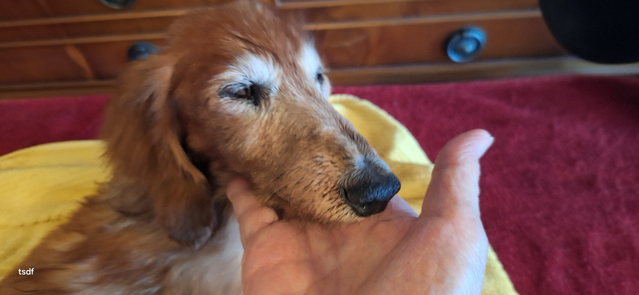 [Image: 20250719-101010.jpg]