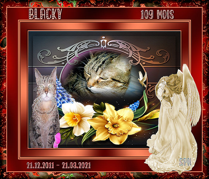 BLACKY-109-MOIS