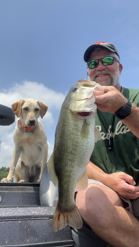 7D82780D-AA8E-4B76-BC69-2A3C14B06371