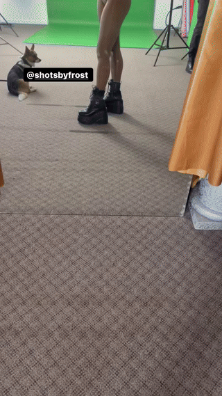 ezgif-1-dab16b6df7.gif