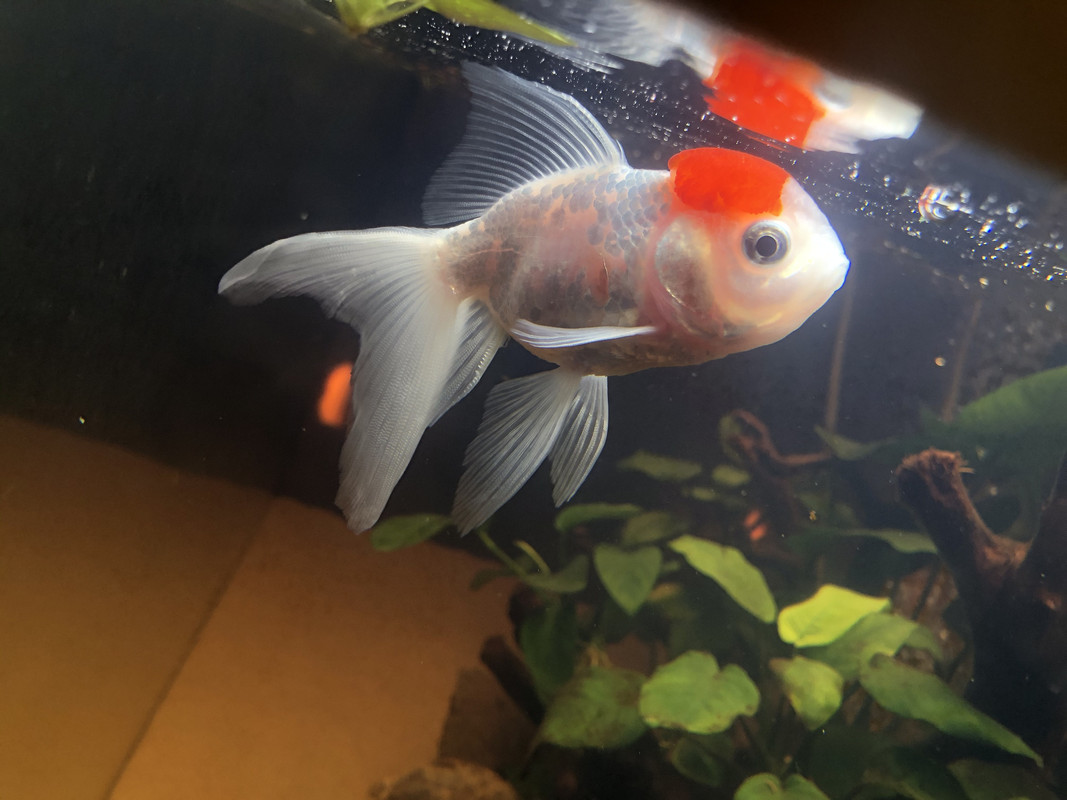 843BF224-BB0F-4480-A5E7-97731ABB6824