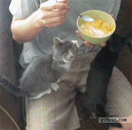 daily-gifdump-3430-12.gif