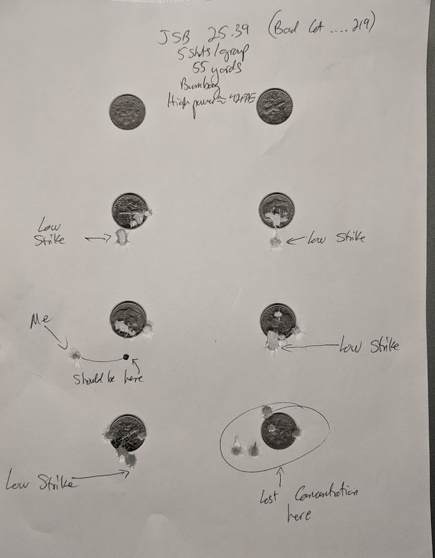 bad lot 25.39 bum bag 55 yds
