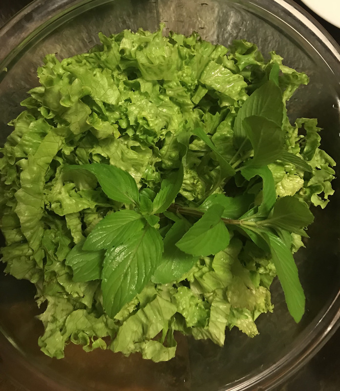 [Image: 5-EE7-F5-A2-E9-E8-44-B5-B679-2-E90-CD86-EFA5.jpg]