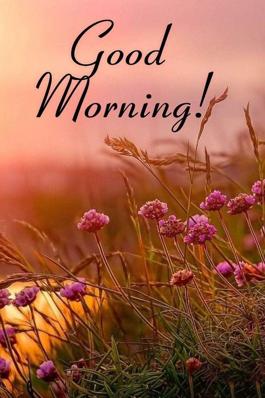 10-Good-Morning-Quotes-To-Fill-Your-Week-With-Blessings-67435-12